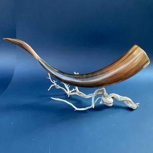 El Mejor Cuerno Decorativo de Búfalo Natural para Decoración de Mesa y Pared, Hecho a Mano en India - Product Image 4