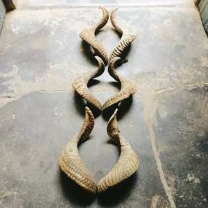 Shofar de moda para niños: explicación del instrumento musical judío shofar, cómo enseñar a tocar shofar, muestra de sonido de shofar - Product Image 1