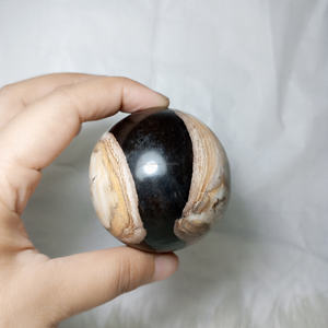 Vente en gros de pierre naturelle de racine de palmier d'Indonésie de haute qualité forme de sphère pierres précieuses artisanat cristal de guérison 5 cm - Product Image 2