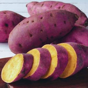 Patates douces fraîches de haute qualité provenant d'un fournisseur vietnamien, en vente au meilleur prix - Product Image 2