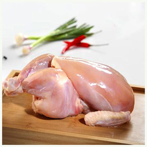 Pollo Entero Congelado Halal de Primera Calidad, Pollo Entero Congelado Halal al Mejor Precio - Product Image 6