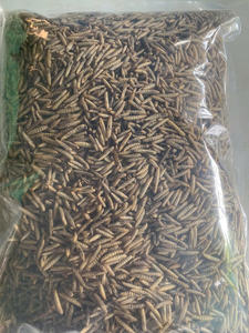 Larves de mouches soldat noires séchées - un excellent complément nutritionnel pour les animaux et les animaux domestiques (oiseaux, volailles, reptiles ou poissons) / Lima - Product Image 2