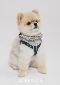Muhlengia Luxury Velvet Dog <b>Harness</b> Customized Rivet Design Eco-Friendly Wedding Clothes for Dogs - Product Image 2