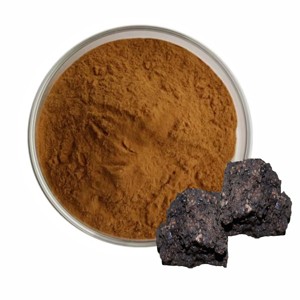 Poudre d'extrait de Shilajit 100% authentique, poudre d'extrait de Shilajit de l'Himalaya de qualité supérieure, soutient l'énergie et la nutrition minérale chez les hommes - Product Image 2