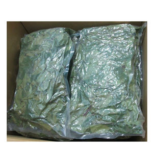 Hojas de Guanábana Secas Estándar de Exportación para la Fabricación de Bolsitas de Té, Suministro de Ingredientes para Bebidas y Distribución al por Mayor - Product Image 6