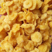 Fabrikant Premium Fabriek OEM Bestellingen Groothandel Distributie Wereldwijde Handelspartners Hoge Kwaliteit Zachte Gedroogde Ananas