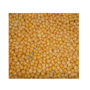 Chana Orgánica Tostada y Deshidratada, Alta en Proteínas, Sin Piel, Tamaño Uniforme, Precio Económico, Bulto, Larga Duración (12-18 Meses), Snack - Product Image 2