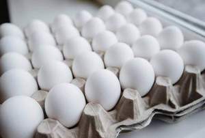 Huevos de Gallina Blancos Frescos, Conservados, Congelados y Cocidos para Uso Alimentario - Product Image 3