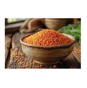 Lentejas Rojas Naturales Desgranadas, Masoor Dal, Origen Telangana, Vida Útil de 12 a 18 Meses, Empaque a Granel, Exportación de Alimentos, Saanvisha Global - Product Image 3