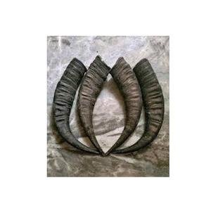 Cuerno de Búfalo Natural Pulido, Artesanía India Ecológica, Color Natural, Estilo Amoroso, Artículo Coleccionable, Venta al Por Mayor - Product Image 3