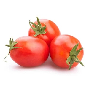Tomates Cherry Redondos Frescos y Orgánicos para Venta al por Menor y Uso en la Cocina - Product Image 4