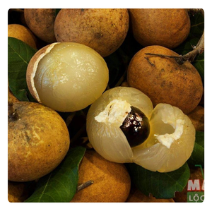 Oferta Especial - Longan Congelado Premium de Calidad Vietnamita - Product Image 1