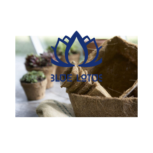 Pots de semis écologiques biodégradables en fibres végétales Blue Lotus, sans choc de transplantation, pour la maison et le jardin - Product Image 1