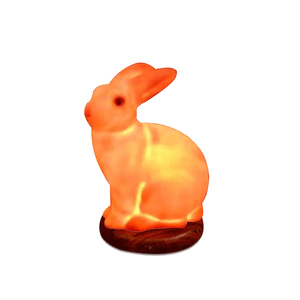 Lámpara de Sal Rosa con Forma de Animal para Decoración de Dormitorios, Fabricante con MOQ Bajo y Tiempo de Producción Rápido - Product Image 1