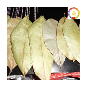 ใบฝรั่งแห้ง |   ผู้จัดจำหน่ายสมุนไพรกราวิโอลาแบบขายส่งจากเวียดนาม - Product Image 3