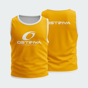 High Quality Breathable Unisex Soccer <b>Bibs</b> <b>Training</b> Vest Printed Front Mesh Quick Dry OEM Service Custom Team Name - Product Image 6