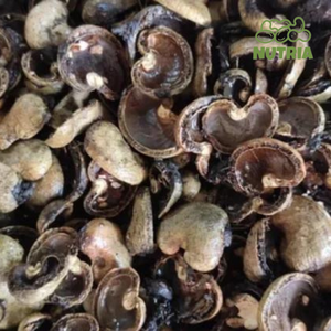 เม็ดมะม่วงหิมพานต์,เม็ดมะม่วงหิมพานต์จากเวียดนาม AKINA - Product Image 1