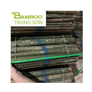 MATERIAL DE CONSTRUCCIÓN DE PRIMERA CALIDAD: Bambú de Corte Medio para Actividades de Fabricación de Cometas en Pakistán, Estructura Resistente - Product Image 1