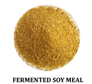 Harina de soja fermentada en seco, harina de soja fermentada en seco para ganado, alimento para aves de corral, harina de soja fermentada en seco rica en proteínas para ganado, aves de corral - Product Image 2