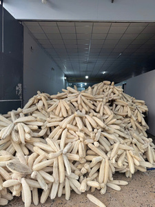 ฟองน้ำใยบวบธรรมชาติสำหรับใช้กับผิวกาย-รุ่นเวียดนาม ยามิ - Product Image 6