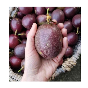 VENDRE DES FRUITS DE PASSION SÉCHÉS DE HAUTE QUALITÉ-DES FRUITS SÉCHÉS DOUX À BON PRIX-LE MEILLEUR CHOIX POUR VOUS/Mme Thi - Product Image 4