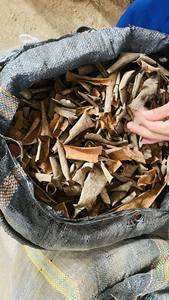 อบเชยแตกง่ามราคาถูกที่สุด ชนิดแตกง่าม อบแห้ง ราคาประหยัด ขนาดกลาง สมุนไพรและเครื่องเทศ จากเวียดนาม - Product Image 5