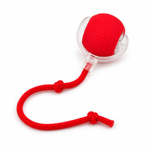 Jouet interactif pour animaux de compagnie, balle sonore rechargeable USB-C, jouet de dentition en peluche texturée pour chiens et bébés - Product Image 1