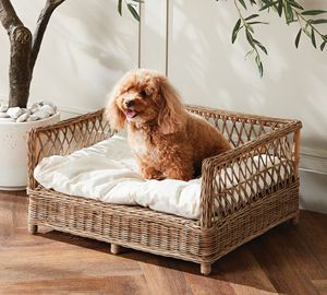 Cama para Perros de Ratán Tejido Marrón Oscuro con Borde Festoneado, Sofá para Mascotas, Cama para Gatos de Mimbre con Respaldo Alto, Venta al por Mayor de Fábrica de Muebles - Product Image 5
