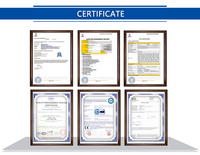 Prix concurrentiel de poudre abrasive de carbure de silicium noir de grain de la haute conductivité 100 pour la brique réfractaire Sic