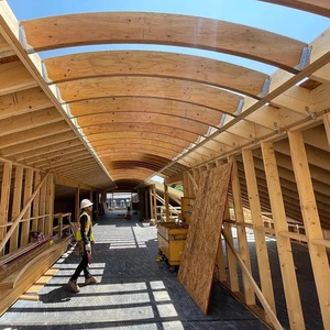 Poutres rondes en bois dur naturel, bois massif, idéal pour la construction, la toiture et les applications de construction. - Product Image 1