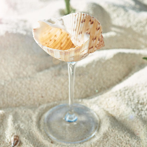 Copa de vino con forma de concha marina a precio económico para decoración náutica de bar, vasos para bebidas con diseño de conchas marinas, hechos en Vietnam. - Product Image 4