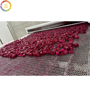 Tranches de fruit du dragon surgelé IQF de qualité supérieure, cubes de fruits tropicaux sucrés, demi-coupes, emballage sous vide, vente en gros d'usine, exportation - Product Image 6