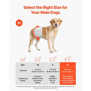 Pannolini Monouso Stampati per Cani Maschi Super Assorbenti, Fasciature Addominali Anti-perdita a 360° con Indicatore di Umidità - Product Image 2