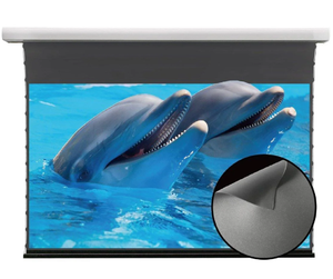 Điện tab-căng thẳng Màn hình máy chiếu 16:10 với vật liệu sợi thủy tinh, động cơ kéo xuống alr màn hình chiếu - Product Image 1