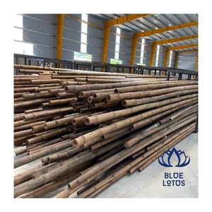 Pôles en bambou de haute qualité, matière première, longueur entière, couleur naturelle, support structurel, projets de bricolage - Product Image 1