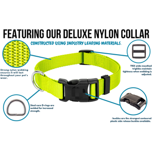 Collar de nailon básico personalizado para perros con hebilla, suministros para mascotas, accesorios para mascotas Martingale - Product Image 5