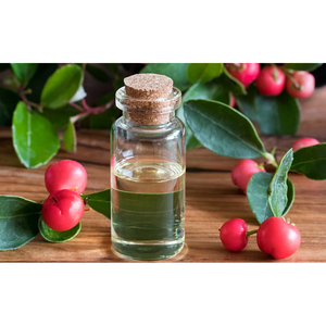 Aceite Esencial de Wintergreen 100% Puro, Natural y Orgánico, Venta al Por Mayor para Aromaterapia - Product Image 4