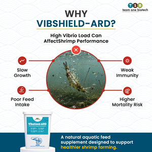 Contrôleur de bactérophages Vibrio pour applications d'alimentation aquatique - Product Image 2