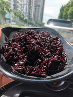 Riz Jasmin à Grains Longs Non-OGM du Vietnam, Qualité Export, Vente en Gros, OEM, Marque Privée