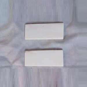 Placas de Hueso de Búfalo Talladas Profesionalmente, Ecológicas, de Color Blanco, para Suministro Artesanal - Product Image 1