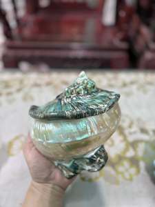 เปลือกหอยมุกขัดเงาสวยงาม เปลือกหอยสังข์ขนาดใหญ่ เปลือกหอยเทอร์โบ เปลือกหอยสังข์สีเขียวขนาดยักษ์ เปลือกหอยมาร์มาตัส - Product Image 3