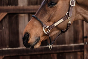 Hot Selling Webbing Adjustable Synthetic Leather Horse Leather Rope Halter <b>Equestrian</b> Riding Wear Outdoor Riding Equipment - Product Image 2