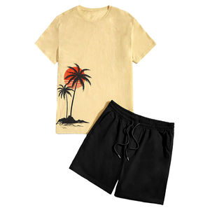Vêtements d'été pour hommes, ensemble 2 pièces, t-shirt et short, ensemble de vêtements de sport en coton personnalisé pour hommes, 100 % coton, ensembles d'été pour hommes - Product Image 1