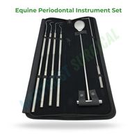 Ensemble d'instruments parodontaux équins, 5 pièces, acier inoxydable, kit d'instruments dentaires vétérinaires autoclavables pour le nettoyage des dents des chevaux