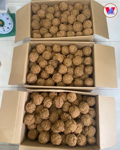 Balle à mâcher en fibre de coco écologique de haute qualité, jouet durable en coque de noix de coco pour petits animaux, hamster, soin dentaire et jeu. - Product Image 5