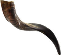 Shofar artisanal en corne naturelle semi-polie, anti-odeur, décoratif, fonctionnel, cadeau juif pour homme ROYAL CRAFT