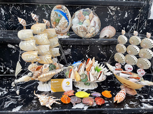 Colorful Natural Handmade Seashell Decoration Set <b>Abalone</b> Conch <b>Shell</b> Hanging Boat Aquarium Christmas - Caryln - Product Image 6