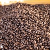 Arábica tostado, precio razonable, grano de café, venta al por mayor, Etiqueta Privada, servicio Oem, fabricante de café agrícola de Vietnam - Product Image 5