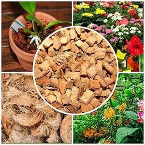 Wholesale Low EC Coco Peat Coco Husk Chips Natural Growing Medium for Nursery and Soilless Cultivation Eco2go Vietnam - Product Image 6