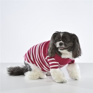 ODM Taiwan Made Striped <b>Dog</b> Clothes Apparel Blank <b>Dog</b> Clothing Hoodie - Product Image 1